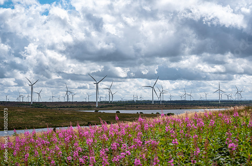 Landscape photography of wind turbine; windmill; wind power; power generation; electricity; industry; innovation; green energy; Whitelee Windfarm, Scotland