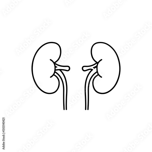 Kidneys Icon – Paired Kidney Outline with Ureters for Anatomy and Health