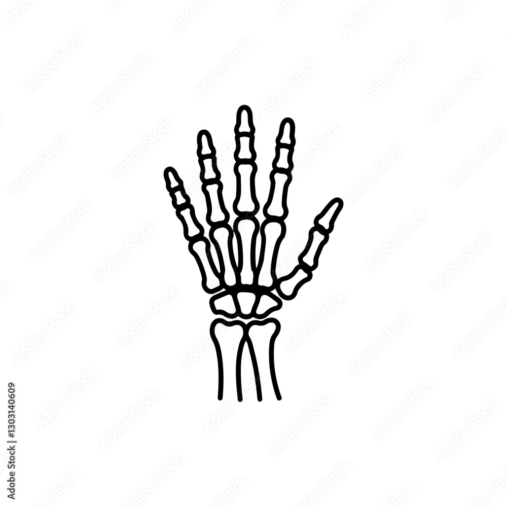 Fototapeta premium Metacarpal Hand Bone Icon – Simple Outline Representing the Hand Bones in Human Anatomy