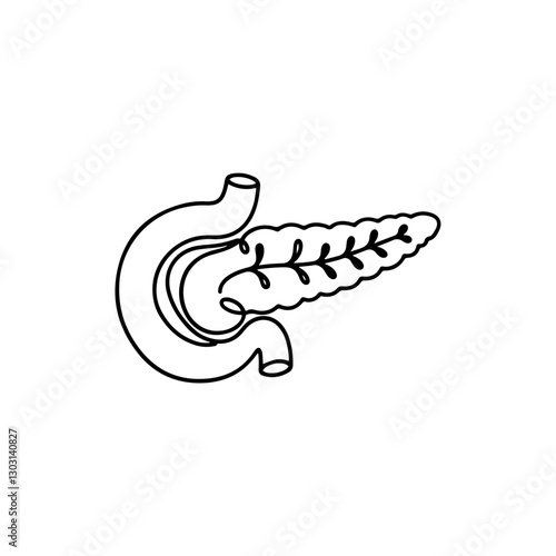 Pancreas Icon – Curved Digestive Organ Contour Representing Human Anatomy and Digestive Health