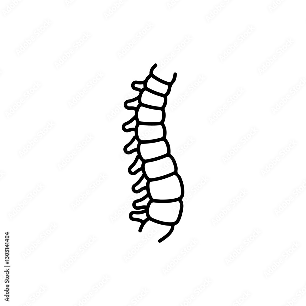 Spinal Cord Icon – Central Nerve Pathway for Anatomy, Medical Studies, and Neurology Spinal Cord Icon – Central Nerve Pathway for Anatomy, Medical Studies, and Neurology