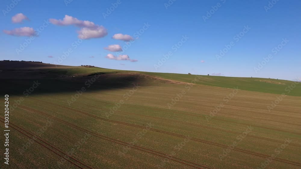 A slow flight over the newly germinated fields in Wiltshire with the chalk downs A slow flight over the newly germinated fields in Wiltshire with the chalk downs