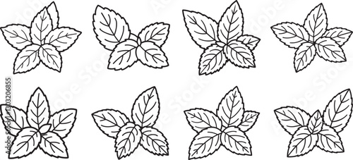 Wallpaper Mural set of mint leaves line art, black outline, vector and illustration, coloring book page line art drawing Torontodigital.ca