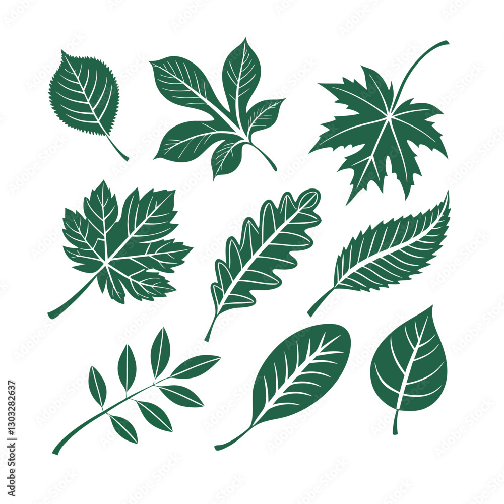 Vector set of green leaves Vector set of green leaves