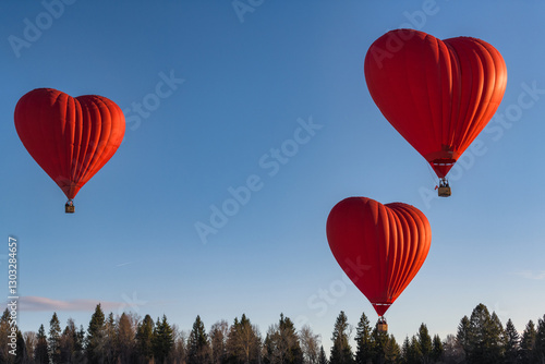 hot air balloon in sky