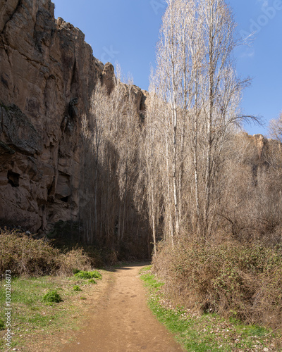 View of Ihlara valley in spring - deep canyon with dwellings and churches carved in rock. Central Anatolia, Aksaray Province, Turkey