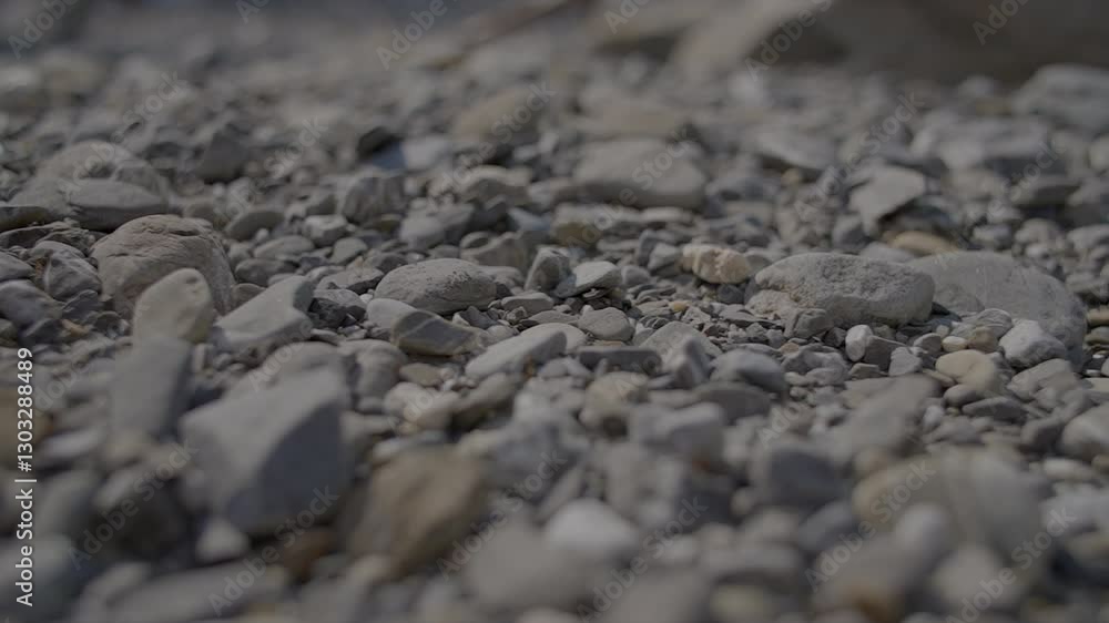 Closeup of rocks on bedrock, with asphalt and grass in monochrome photography Closeup of rocks on bedrock, with asphalt and grass in monochrome photography