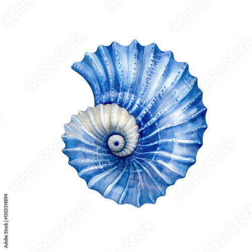 This artwork displays an exquisite blue and white watercolor seashell, showcasing fine details and unique spiral shapes against a clear background.