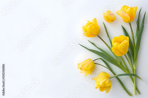 Yellow tulips on a white background, Vibrant Yellow Tulips Against A Clean White Background