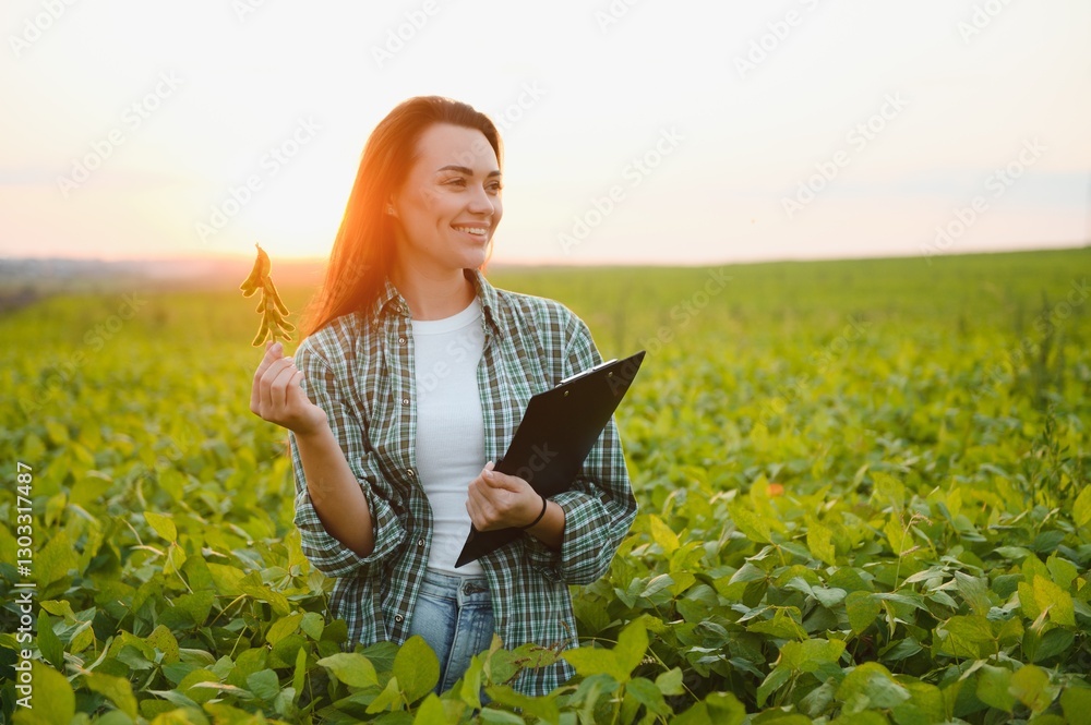 Fototapeta premium Female farmer or agronomist examining green soybean plants in field