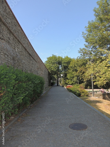 Photography Road in the park - Bratislava Castle
