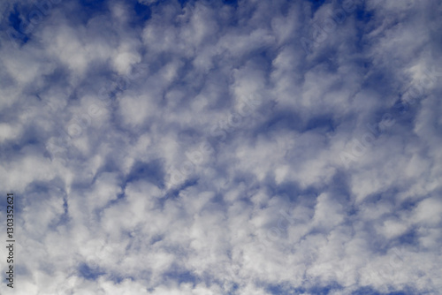 Obraz na płótnie Cloudy Sky with Soft Patterns and Gentle Texture w salonie