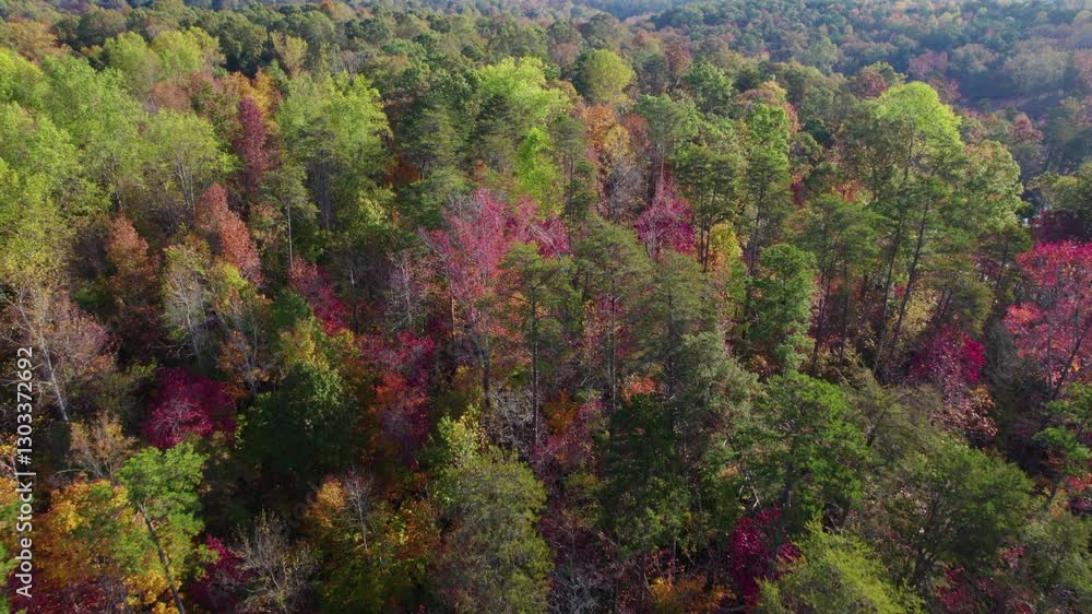 Aerial View Over Colorful Autumn Trees in Paris Mountain State Park South Carolina, United State Autumn Fall Foliage. Colorful Tree Leaves and Mountains in Rays of Morning Sun. Autumn Landscape Forest Aerial View Over Colorful Autumn Trees in Paris Mountain State Park South Carolina, United State Autumn Fall Foliage. Colorful Tree Leaves and Mountains in Rays of Morning Sun. Autumn Landscape Forest