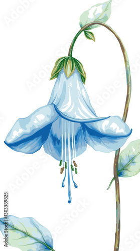 Blue bellflower in watercolor style delicate and elegant floral illustration.