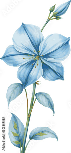 Blue bellflower in watercolor style delicate and elegant floral illustration.