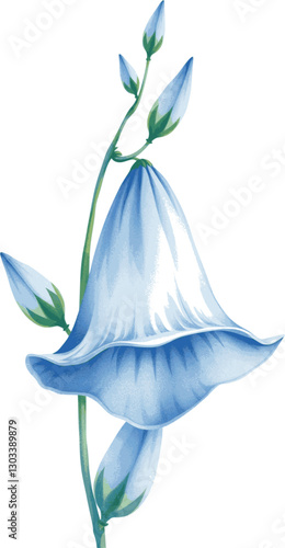 Blue bellflower in watercolor style delicate and elegant floral illustration.