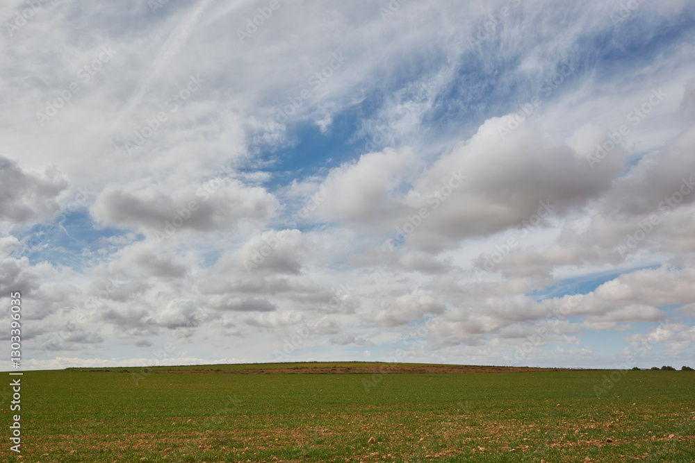 Idyllic Landscape with Lonely Field and Cloud Filled Sky Idyllic Landscape with Lonely Field and Cloud Filled Sky