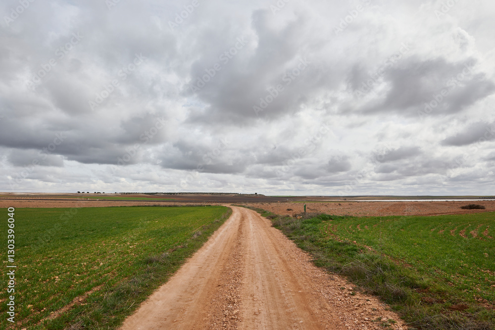 Country Road in Lonely Field with Vast Farmland Under Cloudy Sky Country Road in Lonely Field with Vast Farmland Under Cloudy Sky