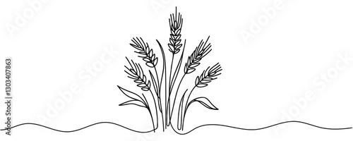 Continuous one line drawing of wheat. Barley or Rye outline vector illustration. One continuous line of wheat