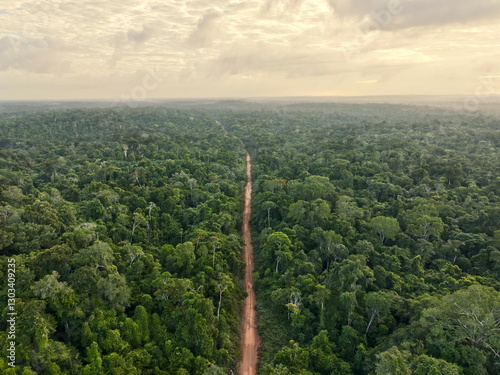 Amazone rainforest road in Suriname.