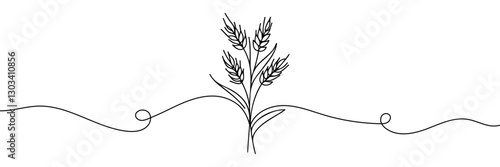Continuous one line drawing of wheat. Barley or Rye outline vector illustration. One continuous line of wheat