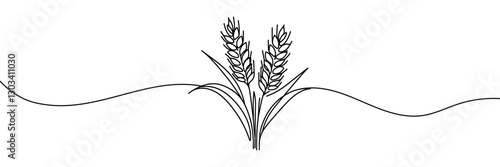 Continuous one line drawing of wheat. Barley or Rye outline vector illustration. One continuous line of wheat