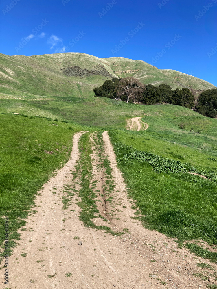 Fototapeta premium A dirt hiking trail cuts through a grassy hillside at Sierra Vista Open Space Preserve