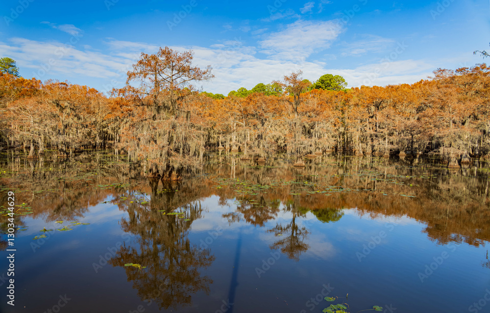 Sunny view of Caddo Lake State Park stunning fall colors.