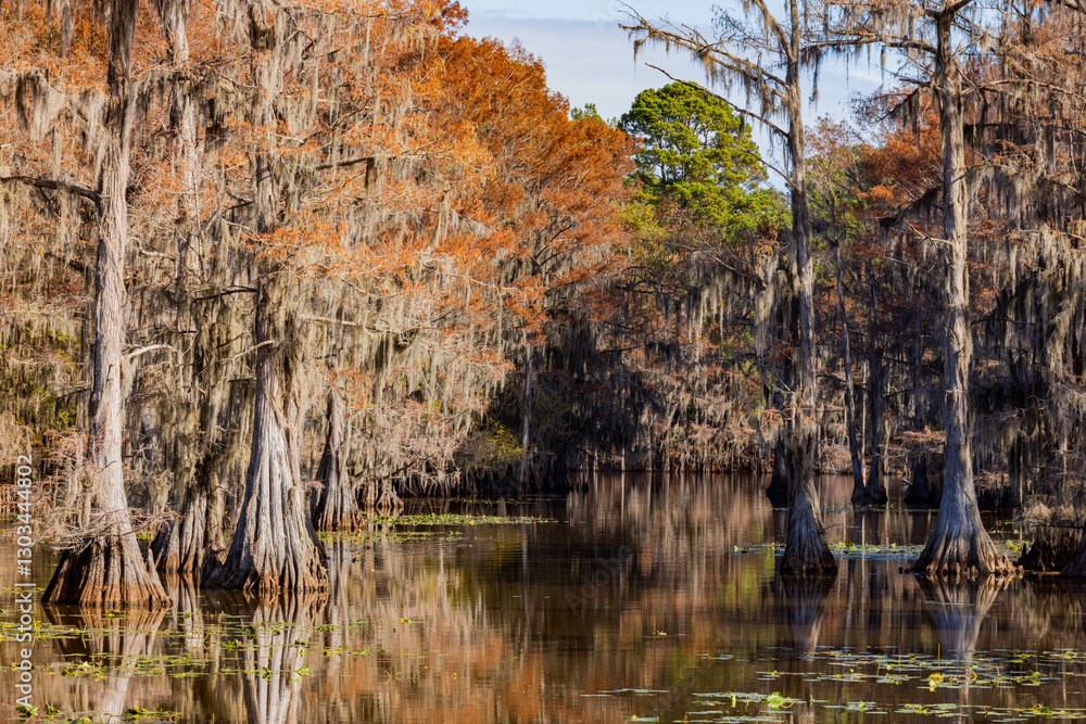 Sunny view of Caddo Lake State Park stunning fall colors.