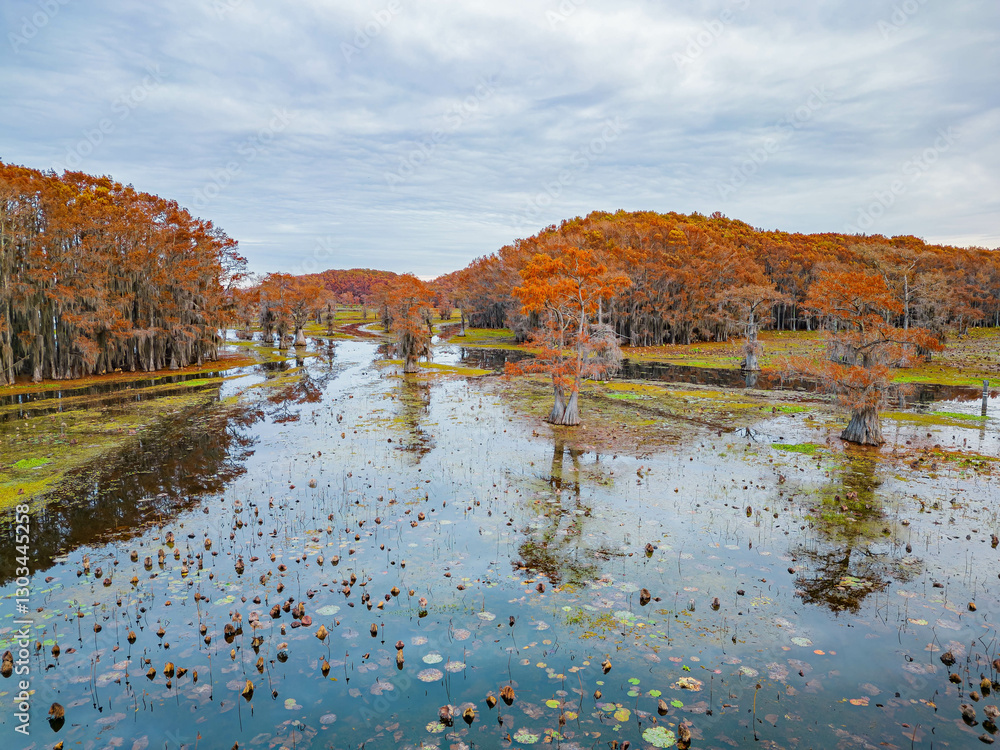 Aerial view of Caddo Lake State Park stunning fall colors.