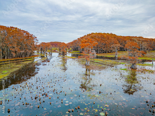Obraz na płótnie Aerial view of Caddo Lake State Park stunning fall colors. w salonie