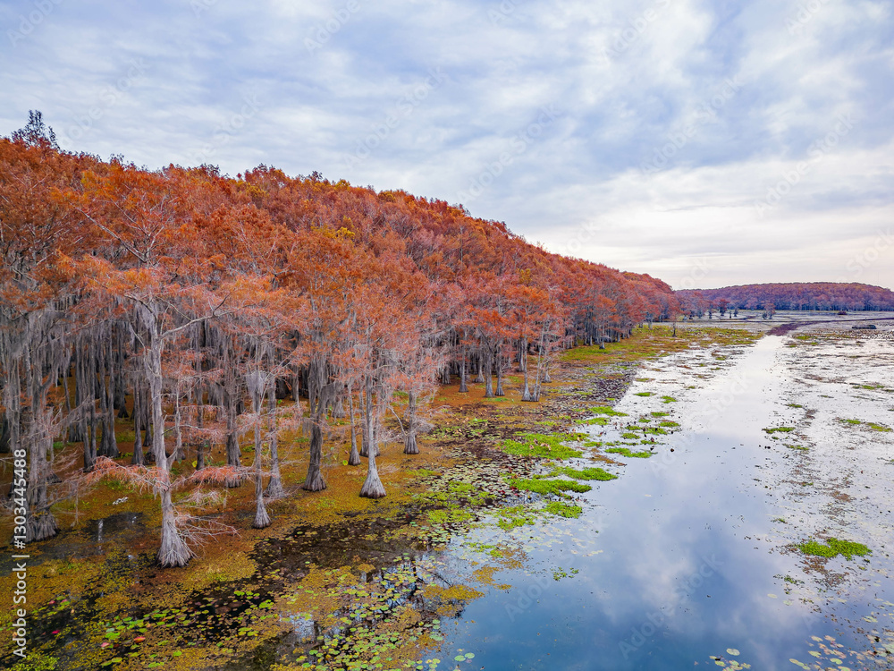 Aerial view of Caddo Lake State Park stunning fall colors.