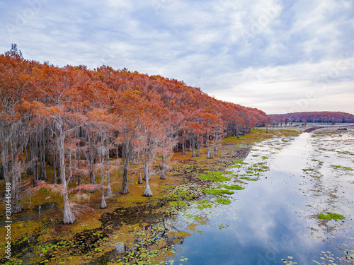 Obraz na płótnie Aerial view of Caddo Lake State Park stunning fall colors. w salonie