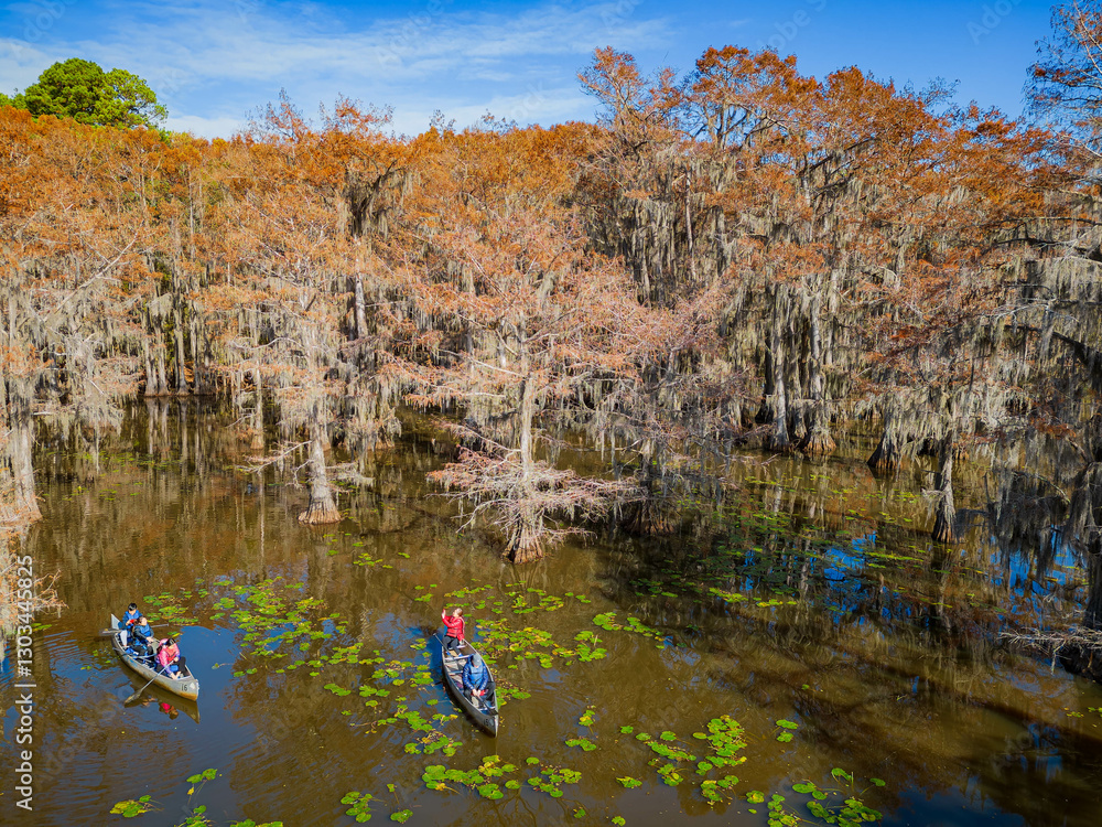 Aerial view of Caddo Lake State Park stunning fall colors.