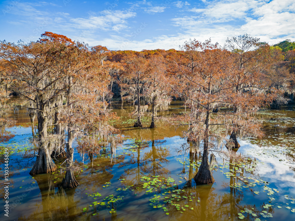 Aerial view of Caddo Lake State Park stunning fall colors.