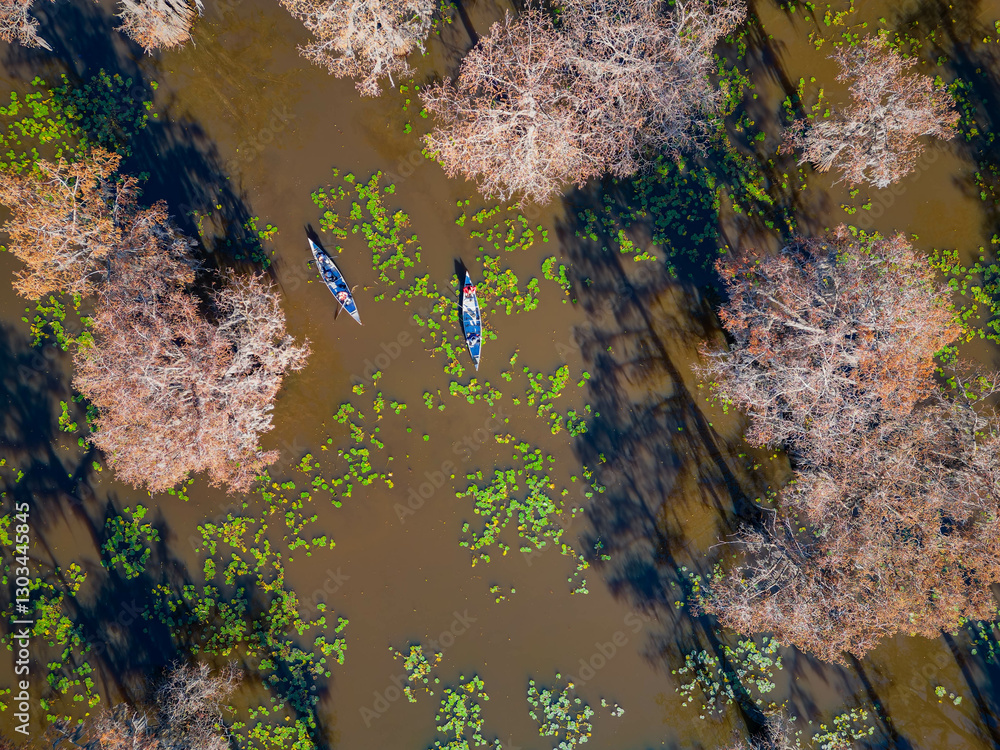 Aerial view of Caddo Lake State Park stunning fall colors.