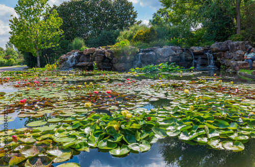 Obraz na płótnie Close up shot of water lilies in The Dallas Arboretum and Botanical Garden w salonie