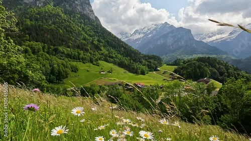 Scenic view of an alpine valley in Switzerland with wildflowers and swaying grass in the foreground. Summer day in the mountains with clear sky and green meadows.