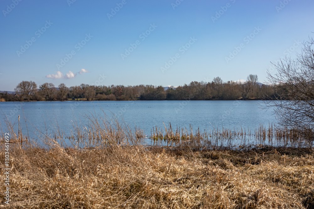 Blick auf das Ufer eines Sees in der Nähe von Bückeburg Blick auf das Ufer eines Sees in der Nähe von Bückeburg