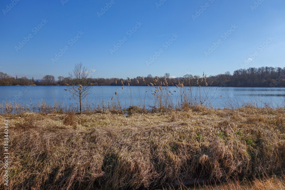 Seegras und Blick auf die Gevattersee Gegend.