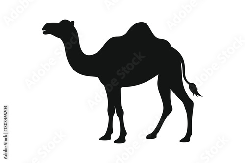 camel in desert Silhouette vector on white background