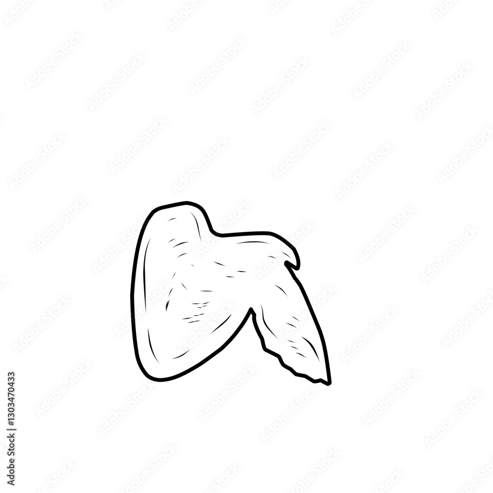 Chicken Wing Hand Drawn Chicken Wing Hand Drawn