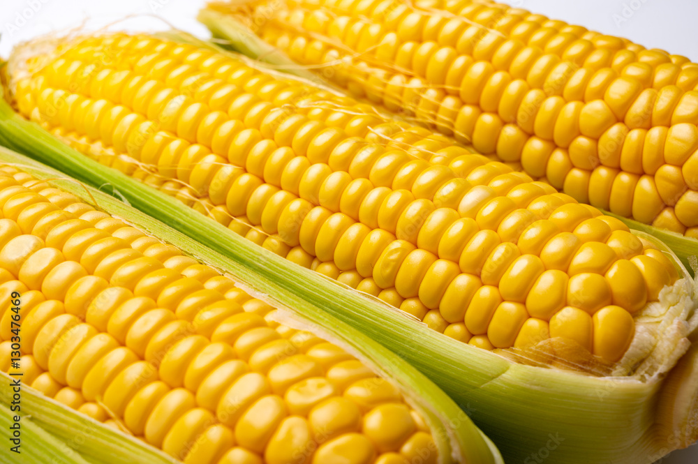 Fresh yellow ripe sweet raw corn, sugar corn or pole corn, variety of maize, uncooked Fresh yellow ripe sweet raw corn, sugar corn or pole corn, variety of maize, uncooked
