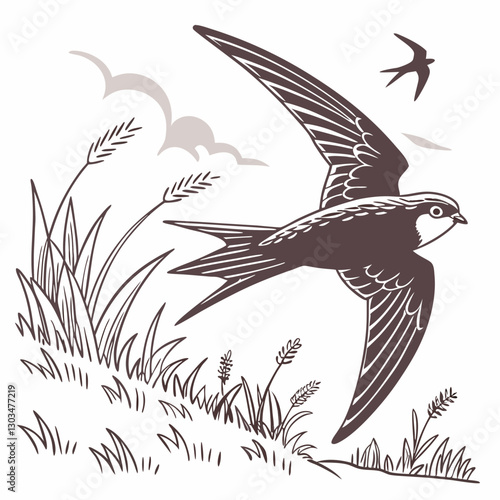 A detailed vector illustration of the Common Swift, the fastest bird in level flight. Perfect for wildlife art, birdwatching themes, and nature-inspired designs.