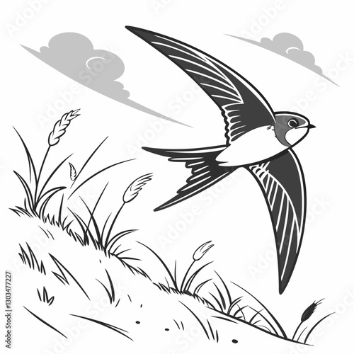 A detailed vector illustration of the Common Swift, the fastest bird in level flight. Perfect for wildlife art, birdwatching themes, and nature-inspired designs.