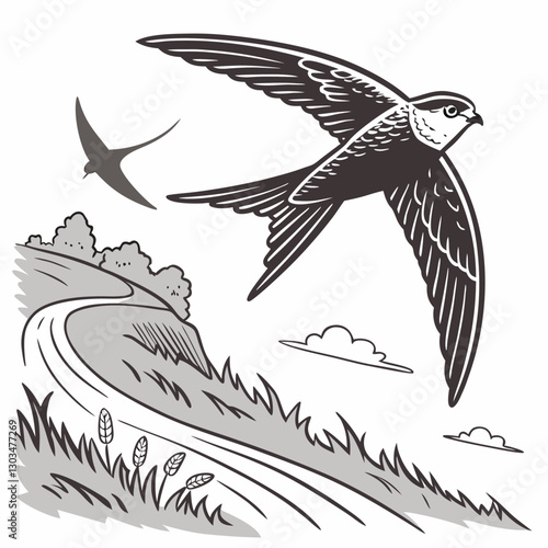 A detailed vector illustration of the Common Swift, the fastest bird in level flight. Perfect for wildlife art, birdwatching themes, and nature-inspired designs.