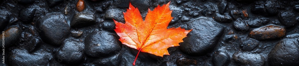 A close-up of a bright orange maple leaf on rocky ground in autumn. Generative AI A close-up of a bright orange maple leaf on rocky ground in autumn. Generative AI