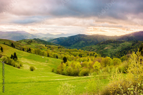 Obraz na płótnie rural area with rolling hills at sunset. cloudy weather. carpathian mountain landscape of ukraine. forest and grassy meadow on the hillside w salonie