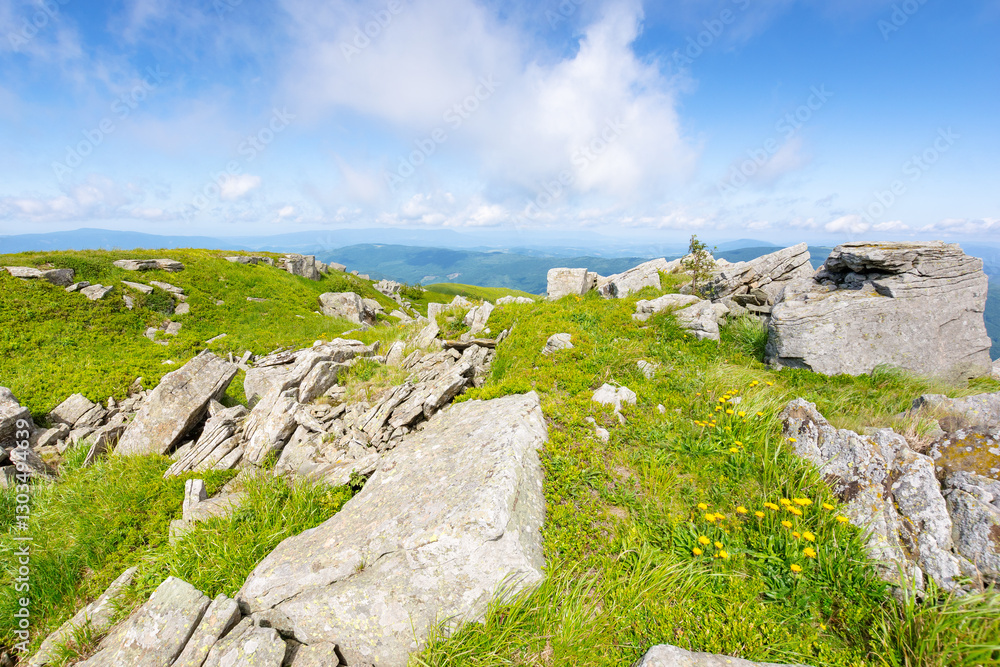 landscape with rocks on the meadow. natural environment with wild flowers. green mountain scenery in summer. beautiful view with cloud on blue sky above horizon. vacation season