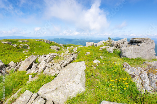 Obraz na płótnie landscape with rocks on the meadow. natural environment with wild flowers. green mountain scenery in summer. beautiful view with cloud on blue sky above horizon. vacation season w salonie